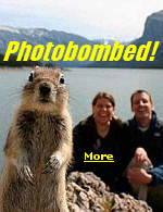 Photobombing is the act of accidentally or purposely putting oneself into the view of a photograph, to play a practical joke on the photographer or the subjects.